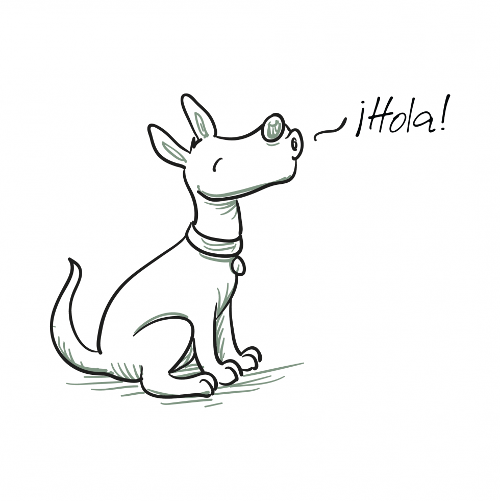 Mein Hund aus dem Tierschutz Hundeclique
